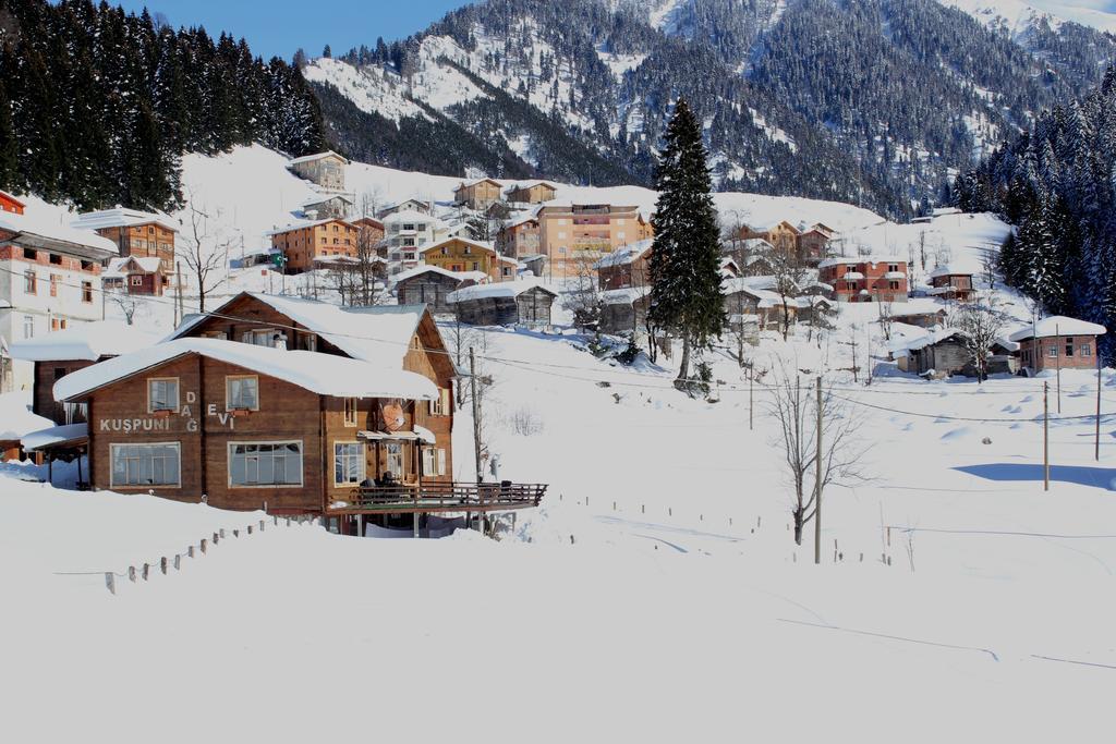 Kuspuni Dag Evi Villa Çamlıhemşin Buitenkant foto