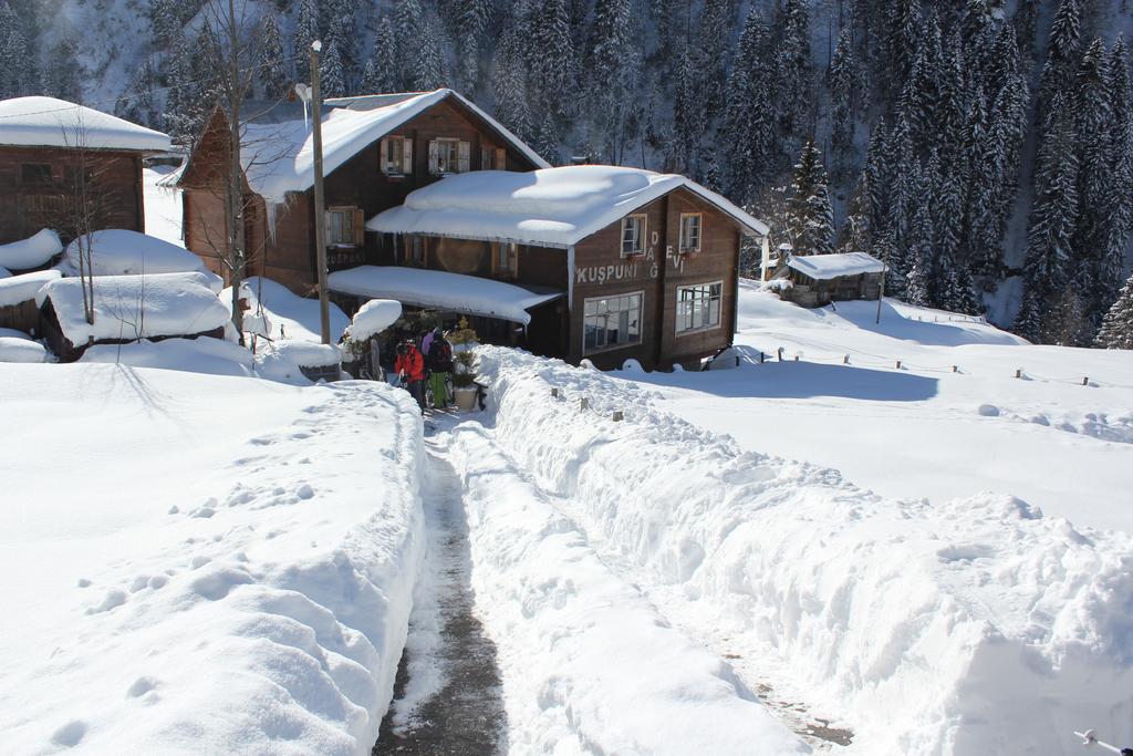 Kuspuni Dag Evi Villa Çamlıhemşin Buitenkant foto