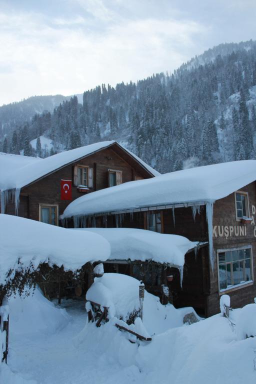 Kuspuni Dag Evi Villa Çamlıhemşin Buitenkant foto